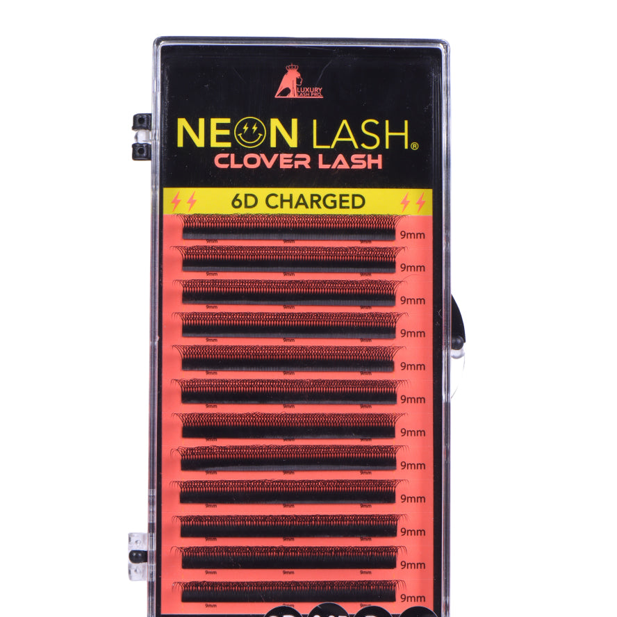 NEON LASH CLOVER LASH TRAY 0.07 D Curl