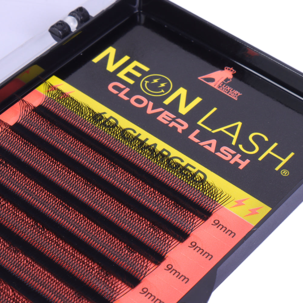 NEON LASH CLOVER LASH TRAY 0.07 D Curl